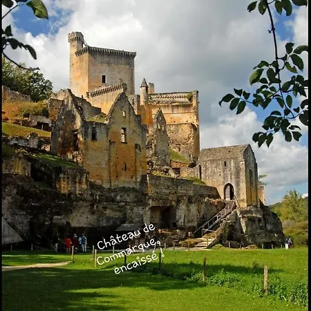 Holiday home Chateau De L Herm, Lascaux, Sarlat, En Perigord Noir *