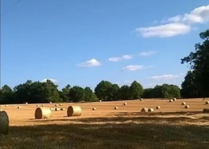 Feriehus Chateau De L Herm, Lascaux, Sarlat, En Perigord Noir