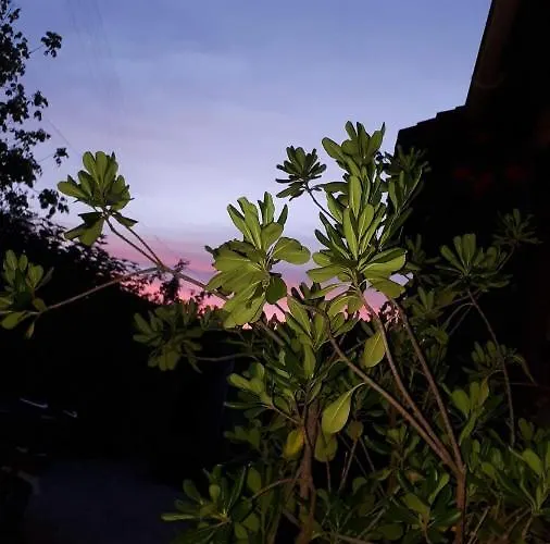 Chateau De L Herm, Lascaux, Sarlat, En Perigord Noir Rouffignac Saint-Cernin